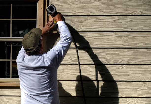 Best Brick Veneer Siding  in Laurens, IA